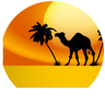 Logo Morocco Today Travel