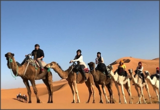 Morocco Every Day tours, excursions