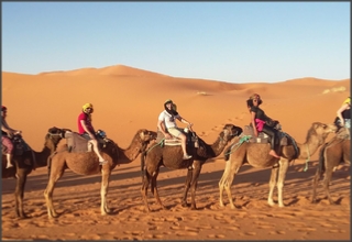 Morocco Every Day tours, excursions