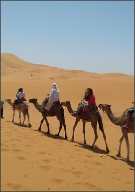 Morocco Every Day tours, excursions